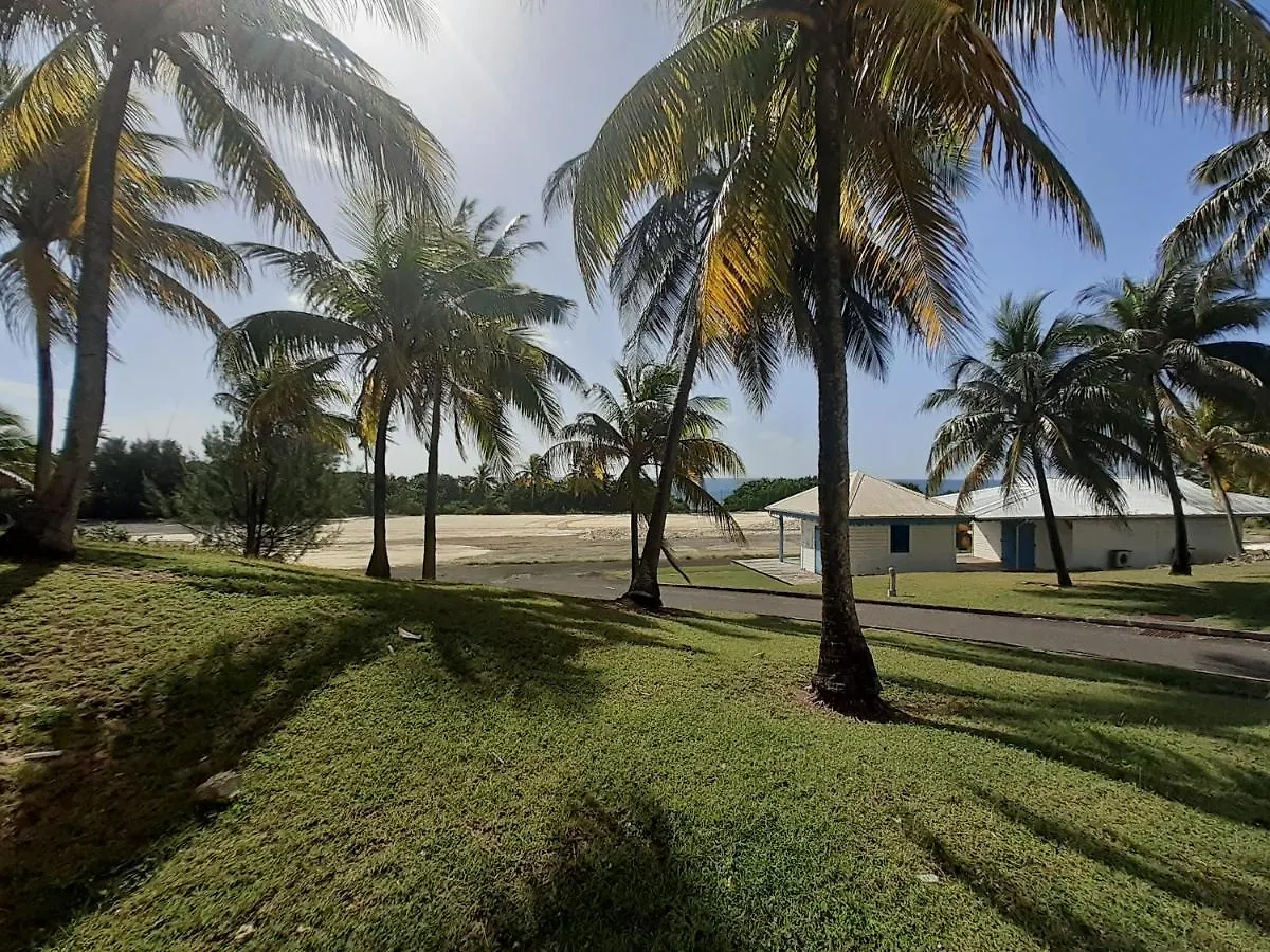 Le Blue Lagoon - Studio Vue Sur Mer - Piscine Et Plage Saint-Francois  Lejlighed Saint-Francois (Grande-Terre)